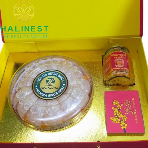 Combo Tổ Yến Rút Lông Định Hình 100g+ Đông Trùng Hạ Thảo VN Sấy Thăng Hoa 10gr
