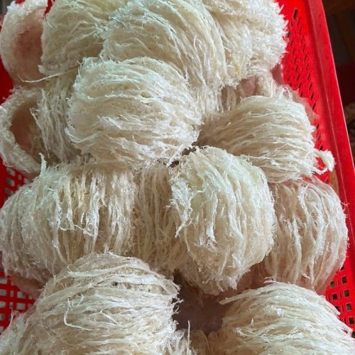 Combo Tổ Yến Tinh Chế 100g+ Đông Trùng Hạ Thảo VN Sấy Thăng Hoa 10gr