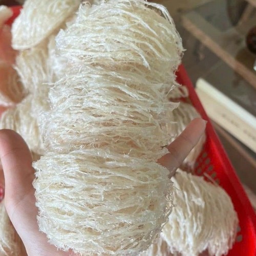 Combo Tổ Yến Tinh Chế 100g+ Đông Trùng Hạ Thảo VN Sấy Thăng Hoa 10gr