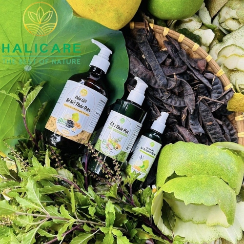 Dầu Gội Thiên Nhiên HaliCare Bồ Kết & Thảo Dược Chai 500ml