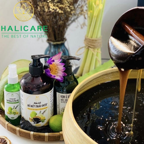 Dầu Gội Thiên Nhiên HaliCare Bồ Kết & Thảo Dược Chai 500ml