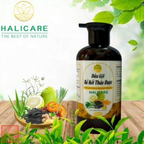 Dầu Gội Thiên Nhiên HaliCare Bồ Kết & Thảo Dược Chai 500ml