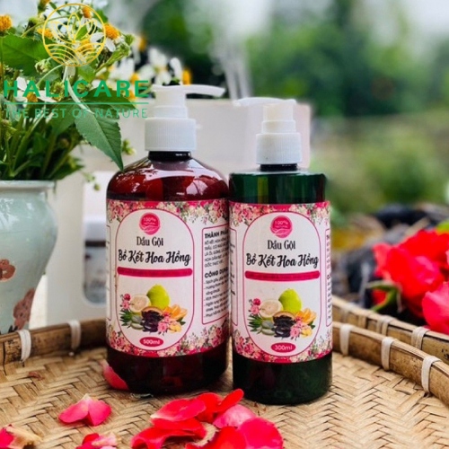 Dầu Gội Thiên Nhiên HaliCare Bồ Kết Hoa Hồng Chai 500ml