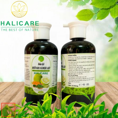 Dầu Gội Thiên Nhiên HaliCare Bưởi Non và Dược Liệu Chai 500ml