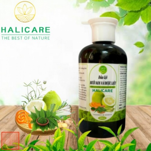 Dầu Gội Thiên Nhiên HaliCare Bưởi Non và Dược Liệu Chai 500ml