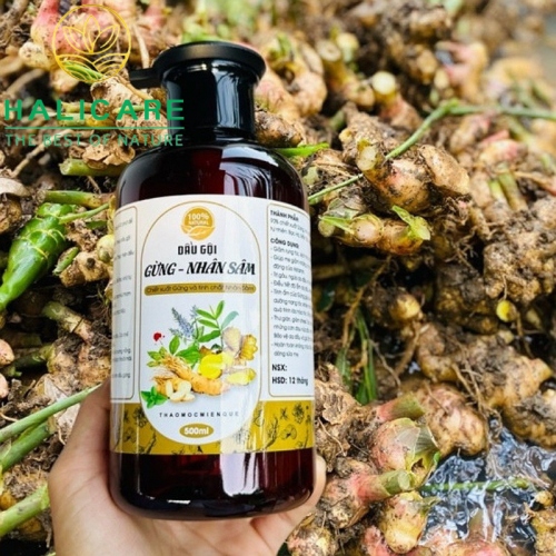 Dầu Gội Thiên Nhiên HaliCare Gừng Và Nhân Sâm Chai 500ml