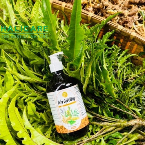 Dầu Gội Thiên Nhiên HaliCare Gừng Và Nhân Sâm Chai 500ml