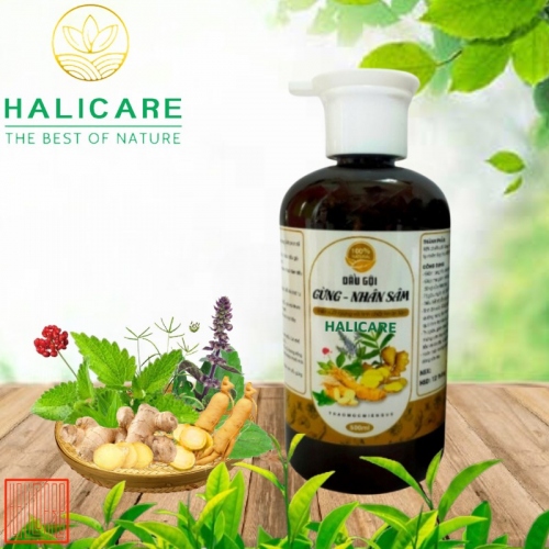 Dầu Gội Thiên Nhiên HaliCare Gừng Và Nhân Sâm Chai 500ml