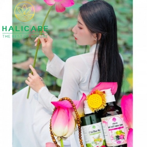 Dầu Gội Thiên Thiên HaliCare Bồ Kết Hoa Sen Chai 500ml