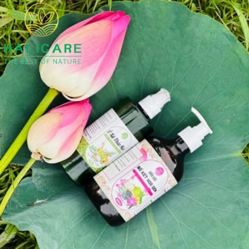 Dầu Gội Thiên Thiên HaliCare Bồ Kết Hoa Sen Chai 500ml