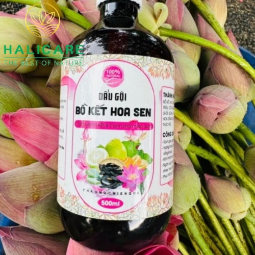 Dầu Gội Thiên Thiên HaliCare Bồ Kết Hoa Sen Chai 500ml