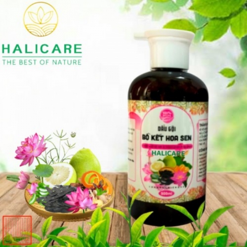 Dầu Gội Thiên Thiên HaliCare Bồ Kết Hoa Sen Chai 500ml