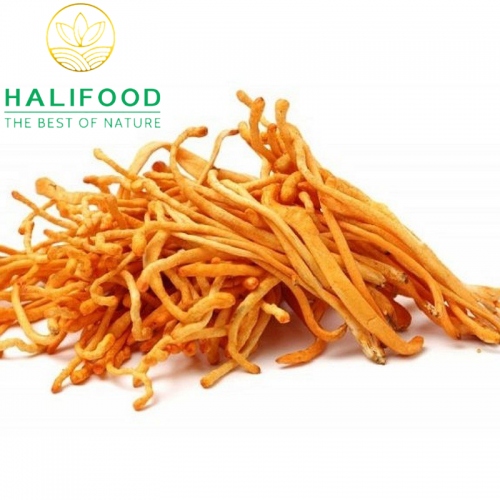 Đông Trùng Hạ Thảo HALIFOOD Sấy Thăng Hoa Loại Gãy Hũ 10gr