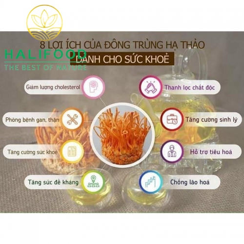 Đông Trùng Hạ Thảo HALIFOOD Sấy Thăng Hoa Loại Gãy Hũ 50gr