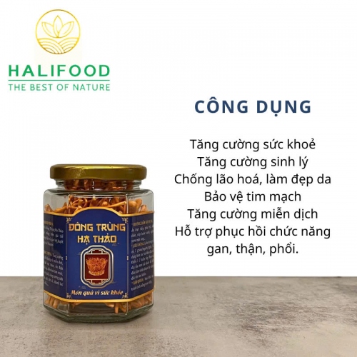 Đông Trùng Hạ Thảo Sấy Thăng Hoa Loại 1 Hộp Cao Cấp 10gr