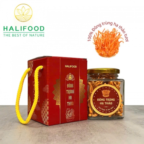 Đông Trùng Hạ Thảo VN Sấy Thăng Hoa Hộp Giấy Hũ 10gr
