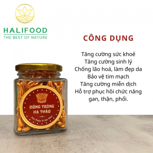 Đông Trùng Hạ Thảo VN Sấy Thăng Hoa Hộp Giấy Hũ 10gr