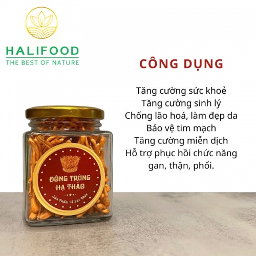 Đông Trùng Hạ Thảo VN Sấy Thăng Hoa Hũ 10gr