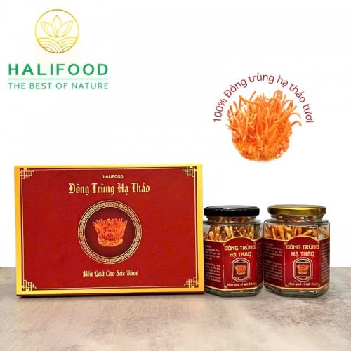 Đông Trùng Hạ Thảo VN Sấy Thăng Hoa Loại 1 Hộp Cao Cấp 20gr