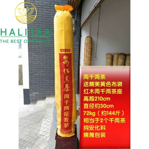 Hắc Trà An Hóa Nhị Thiên Lượng Trà 72kg – Hắc Trà Khổng Lồ Sưu Tầm & Phong Thủy
