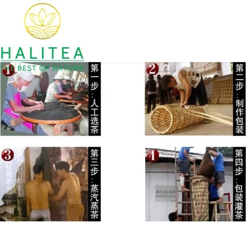 Hắc Trà An Hóa Nhị Thiên Lượng Trà 72kg – Hắc Trà Khổng Lồ Sưu Tầm & Phong Thủy