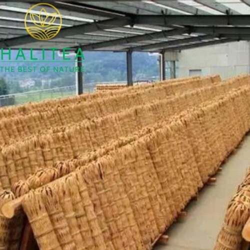 Hắc Trà An Hóa Thiên Lượng Trà 36kg – Hắc Trà Cổ Truyền Sưu Tầm Cao Cấp