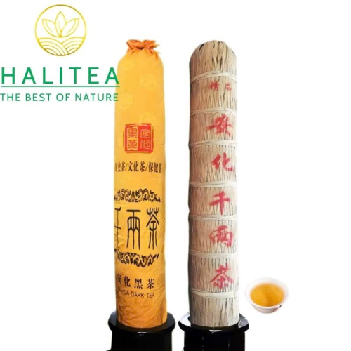 Hắc Trà An Hóa Thiên Lượng Trà 36kg – Hắc Trà Cổ Truyền Sưu Tầm Cao Cấp