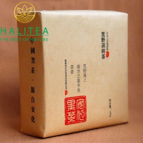 Hắc Trà Hồ Nam An Hoá Phục Chuyên Trà Hoang Dã 2015 – Bánh 480g