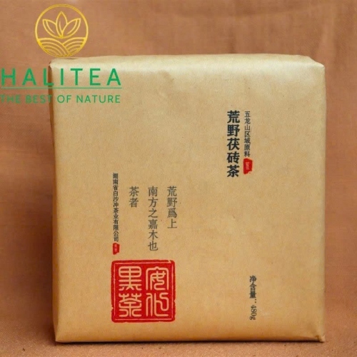 Hắc Trà Hồ Nam An Hoá Phục Chuyên Trà Hoang Dã 2015 – Bánh 480g