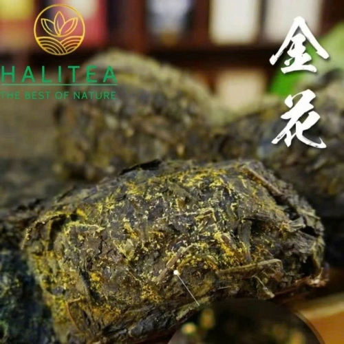 Hắc Trà Hồ Nam An Hoá Phục Chuyên Trà Hoang Dã 2015 – Bánh 480g