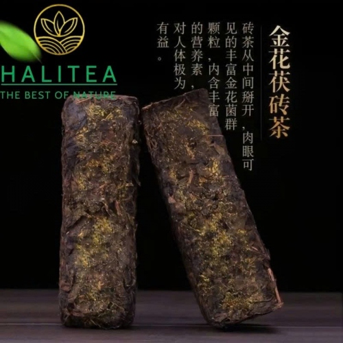 Hắc Trà Hồ Nam An Hoá Phục Chuyên Trà Hoang Dã 2015 – Bánh 480g