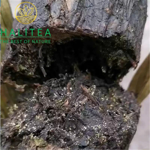 Hắc Trà Hồ Nam - Thập Lượng Trà An Hóa 2017 Hoa Quyển 362g