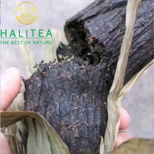 Hắc Trà Hồ Nam - Thập Lượng Trà An Hóa 2017 Hoa Quyển 362g