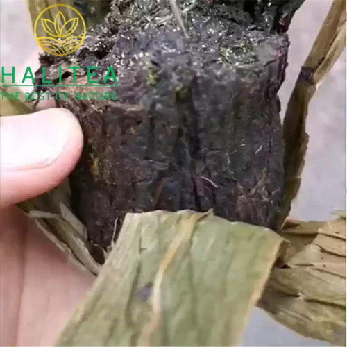 Hắc Trà Hồ Nam - Thập Lượng Trà An Hóa 2017 Hoa Quyển 362g