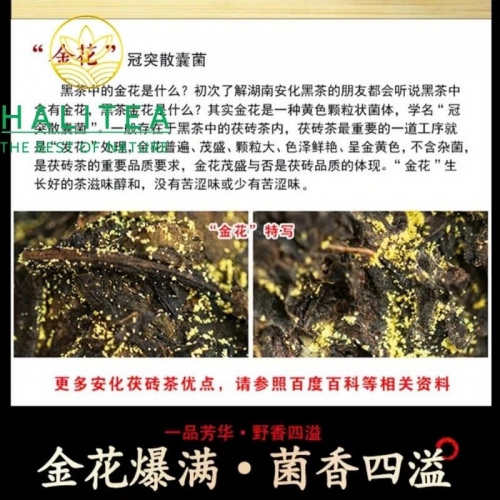 Hắc Trà Kim Hoa Hồ Nam An Hoá 2015 – Bánh 220g