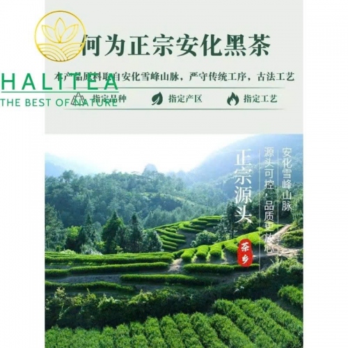 Hắc Trà Kim Hoa Hồ Nam An Hoá 2015 – Bánh 220g