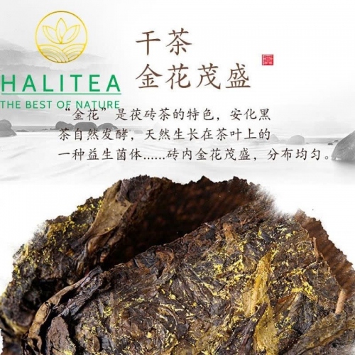 Hắc Trà Kim Hoa Hồ Nam An Hoá 2015 – Bánh 220g