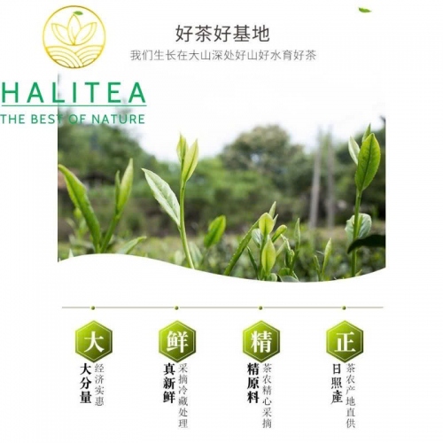 Hoắc Sơn Hoàng Trà – Hộp Thiếc 50g.