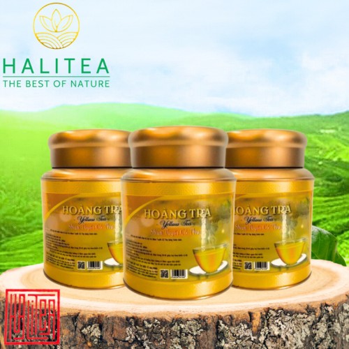 Hoàng Trà Shan Tuyết Cổ Thụ Tà Xùa Hộp Thiếc 100Gr