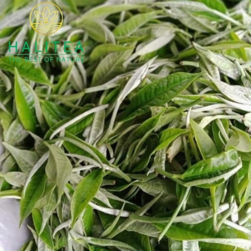 Hoàng Trà Shan Tuyết Cổ Thụ Tây Côn Lĩnh Túi Zipper 100Gr