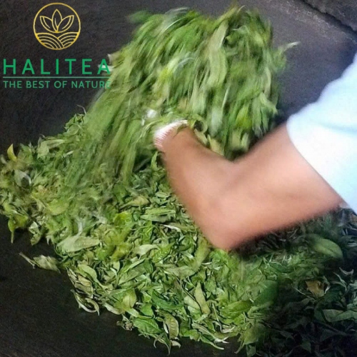 Hồng Trà Shan Tuyết Cổ Thụ HALITEA Hộp Thiếc Đỏ Cao Cấp 200gr