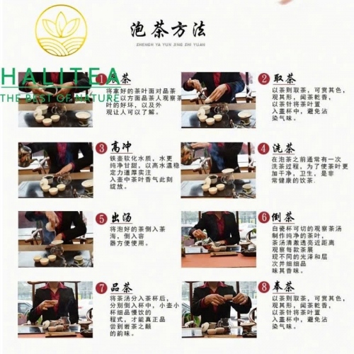 Hộp Trà Ô Long Kim Tuyên Cao Sơn Đài Loan (Jinxuan Oolong Tea) – Hộp Quà 2 Lon 300g