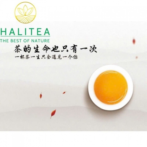 Hộp Trà Ô Long Kim Tuyên Cao Sơn Đài Loan (Jinxuan Oolong Tea) – Hộp Quà 2 Lon 300g
