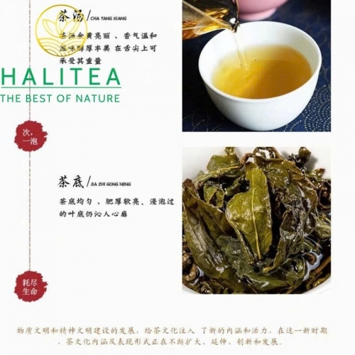 Hộp Trà Ô Long Kim Tuyên Cao Sơn Đài Loan (Jinxuan Oolong Tea) – Hộp Quà 2 Lon 300g