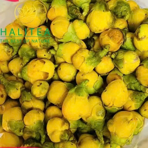 Kim Hoa Trà - Nụ Trà Hoa Vàng Sấy Lạnh Hũ 140g