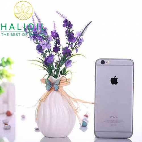 Lọ Hoa Oải Hương Khuếch Tán Tinh Dầu 100ml