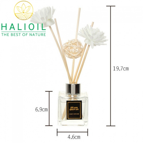 Lọ Hoa Trắng Khuếch Tán Tinh Dầu 50ml