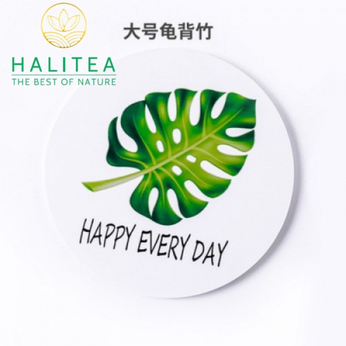 Lót Chén Hình Lá Monstera Phong Cách Châu Âu