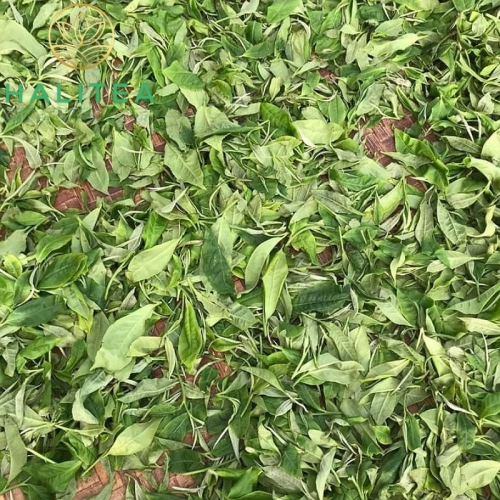 Lục Trà Tà Xùa Hộp Thiếc Cao Cấp 150Gr