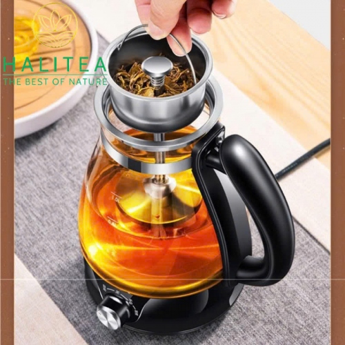 Máy Pha Trà Đen, Trà Phổ Nhĩ... Ấm Trà Hơi Nước Tự Động Thông Minh